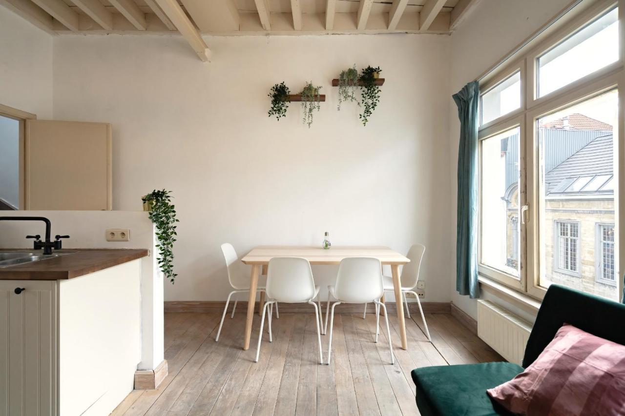 Tempel Triplex & Duplex At Historic Heart Of Antwerp Apartman Kültér fotó